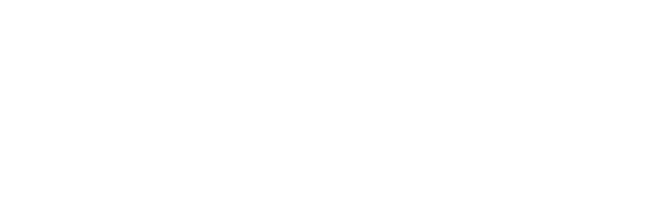Nirvana Holding Logo